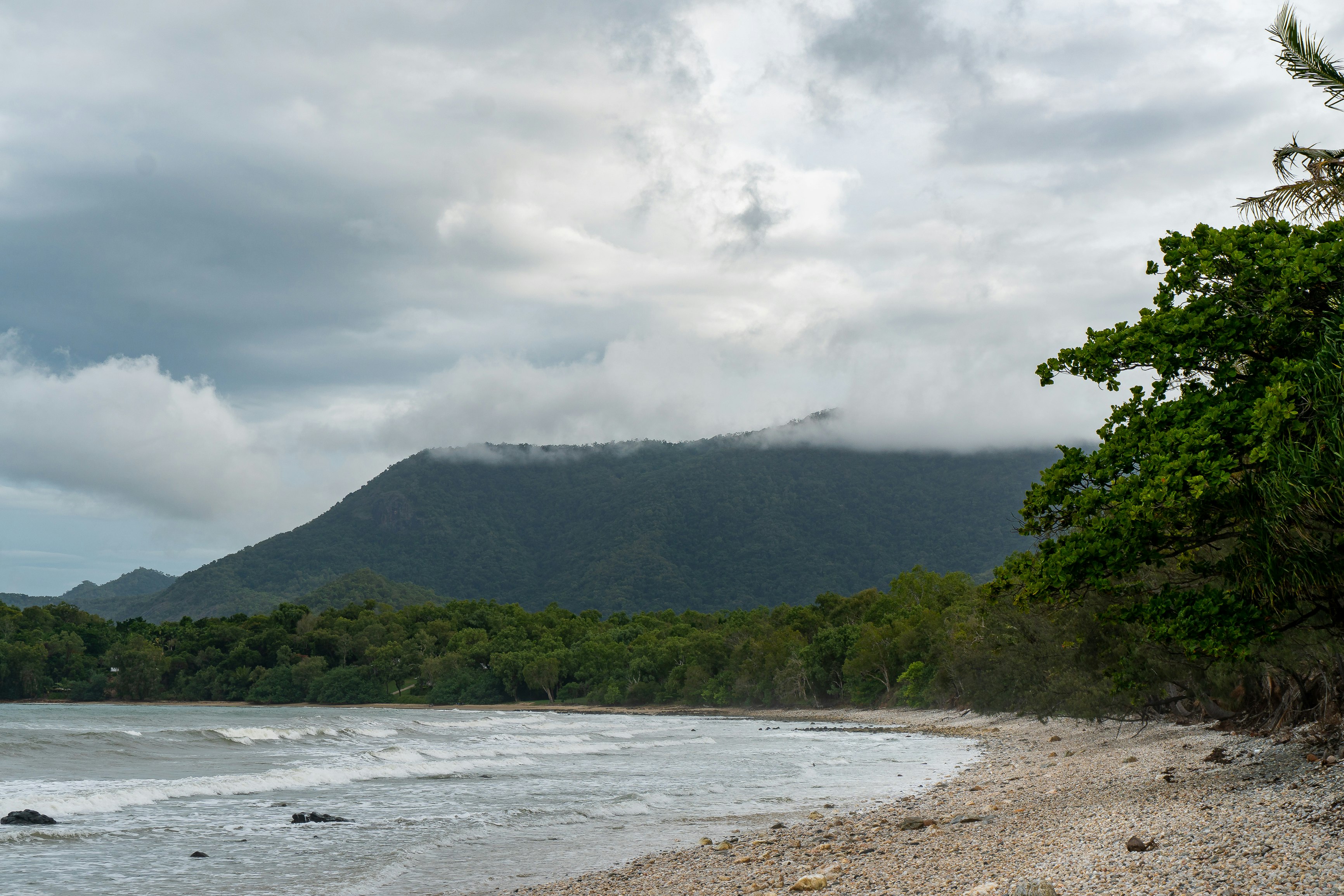 green trees near body of water under white clouds during daytime